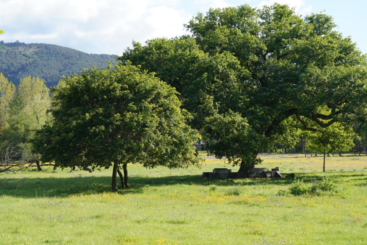 Apartmán Quinta Do Areal Lousã Exteriér fotografie