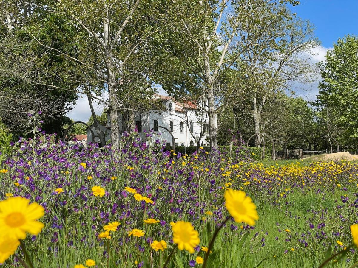 Apartmán Quinta Do Areal Lousã Exteriér fotografie